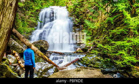 Ältere Frau an Whitecroft fällt, ein Wasserfall an McGillivray Creek und eine kurze Wanderung von Sun Peaks Road in der Nähe der Stadt Whitecroft in BC, Kanada Stockfoto