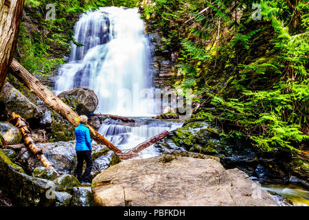 Ältere Frau an Whitecroft fällt, ein Wasserfall an McGillivray Creek und eine kurze Wanderung von Sun Peaks Road in der Nähe der Stadt Whitecroft in BC, Kanada Stockfoto