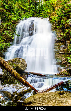 Whitecroft fällt, ein Wasserfall an McGillivray Creek und eine kurze Wanderung von Sun Peaks Road in der Nähe der Stadt Whitecroft in der Schuswaps in BC Kanada Stockfoto