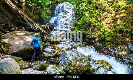 Ältere Frau an Whitecroft fällt, ein Wasserfall an McGillivray Creek und eine kurze Wanderung von Sun Peaks Road in der Nähe der Stadt Whitecroft in BC, Kanada Stockfoto