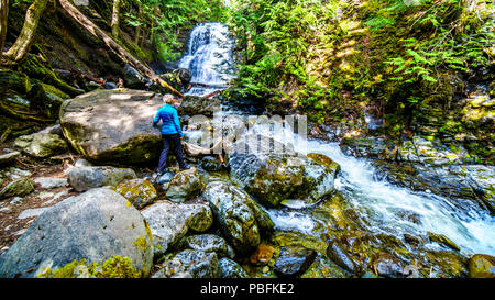 Ältere Frau an Whitecroft fällt, ein Wasserfall an McGillivray Creek und eine kurze Wanderung von Sun Peaks Road in der Nähe der Stadt Whitecroft in BC, Kanada Stockfoto