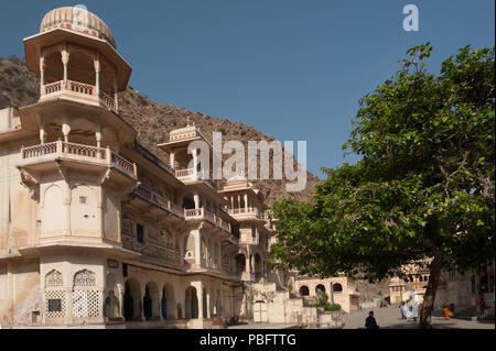 Monkey Tempel (Galta Ji), Jaipur, Rajasthan, Indien, Asien Stockfoto