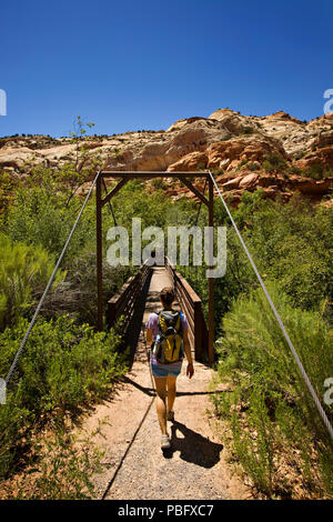 Wandern in der Wüste zu Calf Creek Falls in der Grand Staircase Escalante National Monument Stockfoto