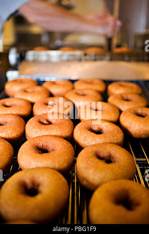 Frische donuts von Hand gefertigt Stockfoto