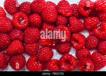 Red bright Raspberry mit Wassertropfen flache Ansicht Stockfoto