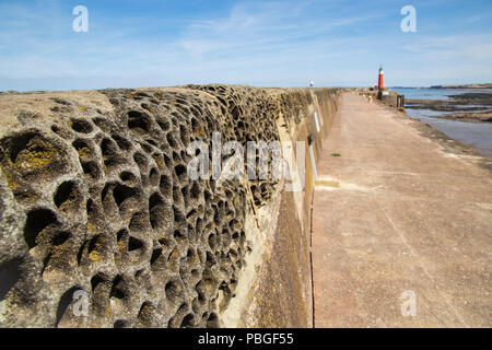 Watchet, Somerset, stark verwitterte Sea Wall in der Nähe der Hafeneinfahrt und den Leuchtturm. Stockfoto
