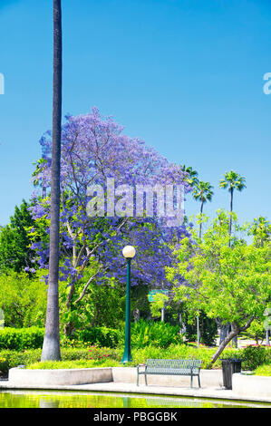 Ein Brunnen, der von Palmen in Will Rogers Memorial Park in Beverly Hills Kalifornien an einem sonnigen Tag umgeben. Stockfoto