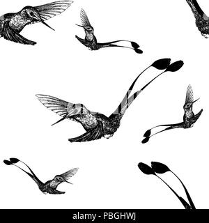 Nahtlose Muster von Hand gezeichnete Skizze stil Kolibris auf weißem Hintergrund. Vector Illustration. Stock Vektor