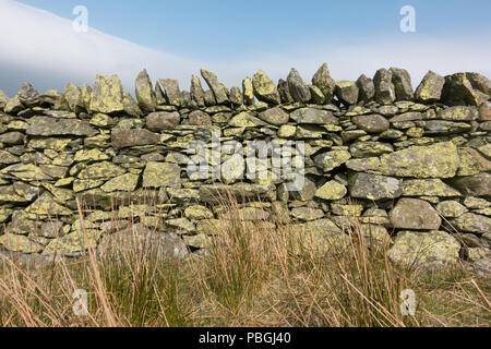 Trockenmauer mit Flechten in der Lake District, England, UK abgedeckt Stockfoto