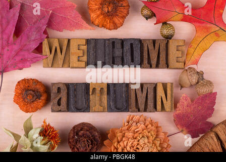 Herbst Wald Text mit Herbst Dekorationen Willkommen Stockfoto