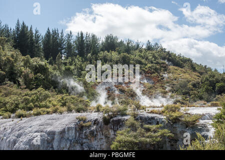 Atemberaubende wald landschaft mit Dampfenden thermische Aktivität am Orakei Korako geothermische Bereich in Rotorua, Neuseeland Stockfoto