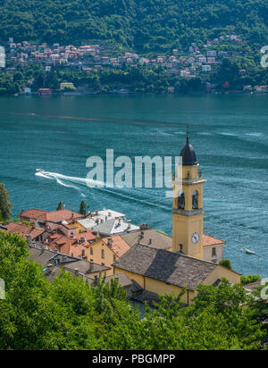 Malerische Anblick in Laglio, Dorf am Comer See, Lombardei, Italien. Stockfoto