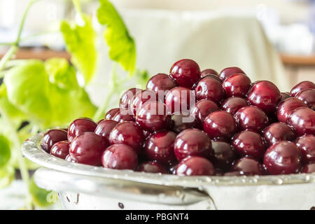 Kochen Kirsche Konfitüre. Eine gewaschene Dunkelrot ñherries in einem Sieb auf einem Hintergrund von grünen Blättern. Site über Früchte, Beeren, Lebensmittel, Küche und Kochen. Stockfoto