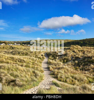 Der South West Coast Path führt durch Sanddünen in der Nähe von Holywell Bay, Cornwall, UK. Stockfoto