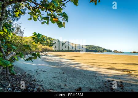 Strand in Cape Hillsborough National Park im Sommer Stockfoto