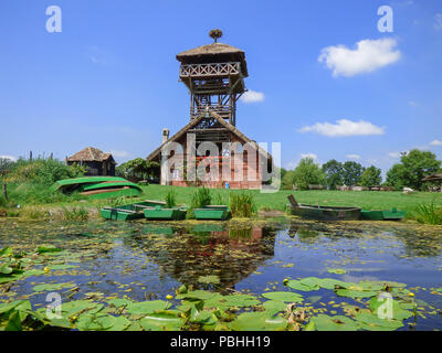 Vogelbeobachtung Turm bei besonderen Naturschutzgebiet Zasavica im Sommer Stockfoto