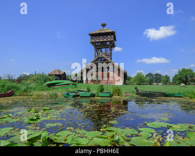 Vogelbeobachtung Turm bei besonderen Naturschutzgebiet Zasavica im Sommer Stockfoto