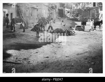 1792 Entladen Haufen grüne Äste auf der Straße der Hopi Indianer Dorf Mishongnovi für kisi oder kiva Für die Schlange tanzen, ca. 1900-1901 (CHS-1086) Stockfoto