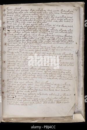 1824 Voynich Manuskript (203) Stockfoto