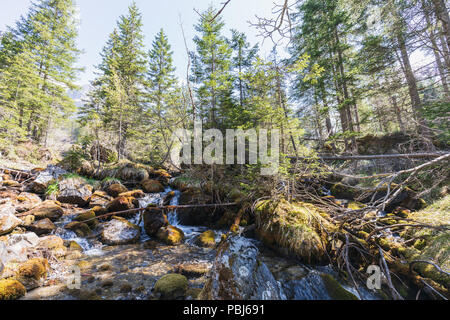 Schönen kleinen Fluss in der Nähe oeschinensee bei Kandersteg Schweiz Stockfoto