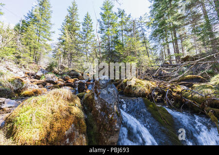 Schönen kleinen Fluss in der Nähe oeschinensee bei Kandersteg Schweiz Stockfoto