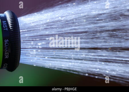 Eine Dusche von Wasser aus einem Gartenschlauch, bevor die vorgeschlagenen Gartenschlauch Verbot in Kraft tritt. Stockfoto