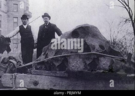 1854 Willamette Meteorit Stockfoto