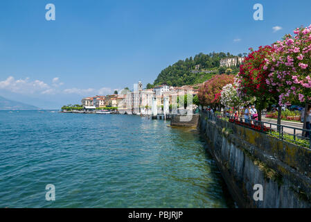 Bellagio am Seeufer mit Bäumen in der Blüte am Comer See, Italien Stockfoto