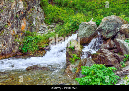 Mountain Creek mit Wasserfällen unter Klippe unter Felsbrocken in Altai Gebirge, Russland - schöne Sommer Landschaft Stockfoto