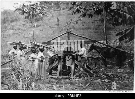 822 Jamaika cane Mill QE2 26. Stockfoto