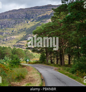 Der A896 läuft durch die Wälder im Tal von Glen Torridon, unter den Torridon Hills in den Bergen, in der nordwestlichen Highlands von Schottland. Stockfoto