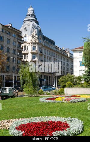 Schönes Blumenbeet in der Innenstadt von Sofia, Bulgarien Stockfoto