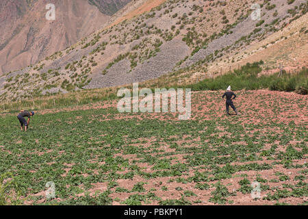 Kirgisischen Dorf leben entlang der malerischen Höhen von Alay route, Alay, Kirgisistan Stockfoto