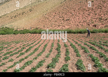 Kirgisischen Dorf leben entlang der malerischen Höhen von Alay route, Alay, Kirgisistan Stockfoto