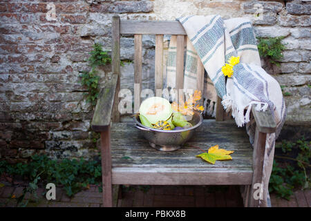 Herbst Kürbisse und Melonen auf einem alten Holzstuhl, Ernte im Garten. Stockfoto