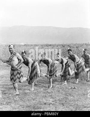 Fünf Maori Männer posieren in traditioneller Kleidung, Haka (kriegstanz) 1890-1920 Stockfoto