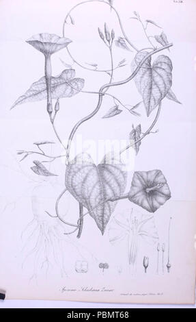 Abhandlungen der Mathematisch-Physikalischen Klasse der Königlich Bayerischen Akademie . Stockfoto