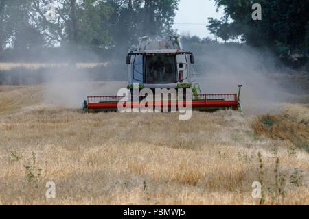 Kopf auf arbeitenden Mähdrescher in trockenen, staubigen Bedingungen Stockfoto