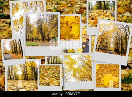 Herbst Collage mit verschiedenen Herbst Bilder, bunten Hintergrund der gefallenen Blätter im Herbst. Stockfoto