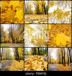 Herbst Collage mit verschiedenen Herbst Bilder, bunten Hintergrund der gefallenen Blätter im Herbst. Stockfoto