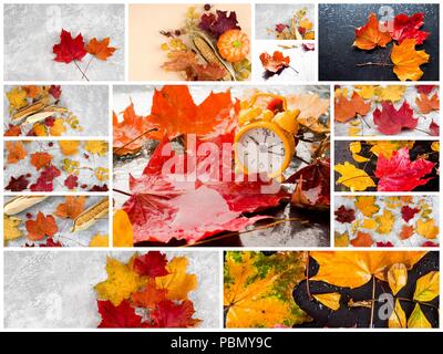 Herbst Collage mit verschiedenen Herbst Bilder, bunten Hintergrund der gefallenen Blätter im Herbst. Stockfoto