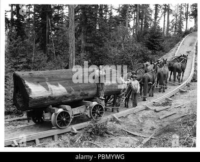 . Englisch: Logging Eisenbahn mit einem Wagen von 8 Pferden gezogen, Ca. 1902 Foto einer Protokollierung Eisenbahn mit einem Wagen mit einem großen Durchmesser von 8 Pferden gezogen werden, ca. 1902. Zwei Männer, die den Betrieb. Der Wald ist im Hintergrund. Rufnummer: CHS-827 Dateiname: CHS-827 Abdeckung Datum: ca. 1902 Teil der Sammlung: California Historical Society Collection, 1860-1960 Format: Glasplatte negative Art: Bilder Teil der Teilsammlung: Titel Versicherung und Vertrauen, und C.C. Pierce Sammlung Fotografie, 1860-1960 Repository Name: USC Libraries Spezialsammlungen Beitritt Nummer: 8 Stockfoto