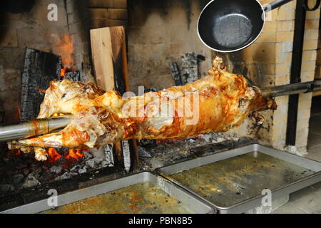 Gebratenes Lamm am Spieß auf Feuer Stockfoto