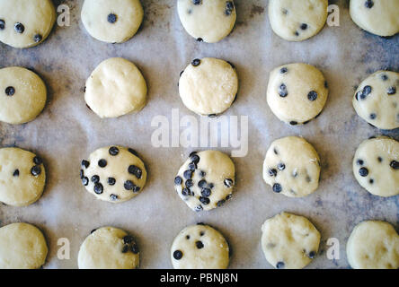 Chocolate Chip Cookies (oder Kekse) auf Backpapier auf einem Tablett bereit, in den Ofen zu gehen Stockfoto