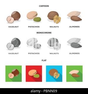 Haselnuss-, Pistazien-, Walnuss, Mandeln. Verschiedene Arten von Nüssen Sammlung Icons im Cartoon, flach, Schwarzweiß-Stil vektor Symbol lieferbar Abbildung. Stock Vektor