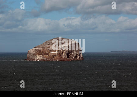 Der Bass Rock und Leuchtturm Stockfoto