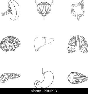 Menschliche Organe set Symbole in der gliederungsansicht Design. Große Sammlung von menschlichen Organen vektor Symbol lieferbar Abbildung: Stock Vektor