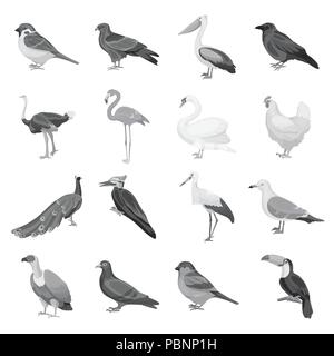 Arten von Vögeln monochrome Icons im Set Sammlung für Design. Haus- und Wild Bird vektor Symbol lieferbar Abbildung. Stock Vektor