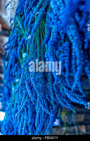 Wundervolle Lavendel Festival in Sequim Serie - Frische Lavendel Blume hängend trocknen, in der Scheune 2. Stockfoto