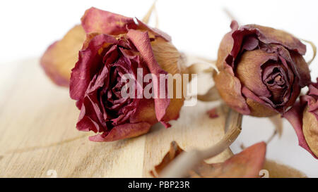 Getrocknete rosa Blüten Stockfoto